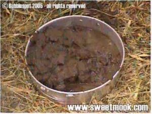 Free Scat Porn