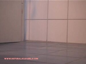 Free Scat Porn