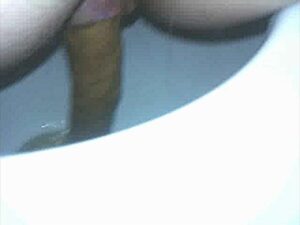 Free Scat Porn
