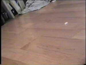Free Scat Porn