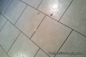 Free Scat Porn