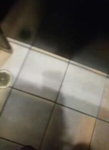 Free Scat Porn