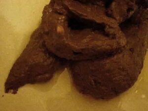 Free Scat Porn