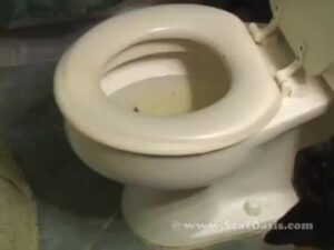 Free Scat Porn