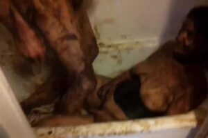 Free Scat Porn