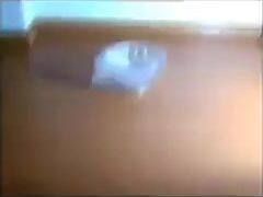 Free Scat Porn