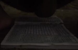 Free Scat Porn