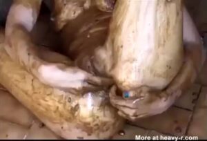 Free Scat Porn