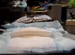 Free Scat Porn