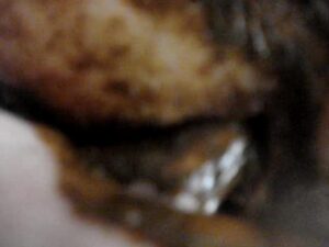Free Scat Porn