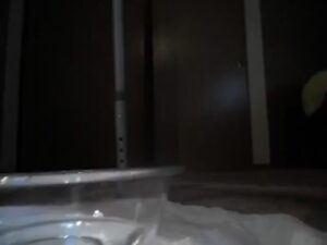 Free Scat Porn