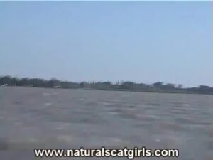 Free Scat Porn