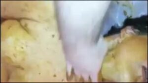 Free Scat Porn