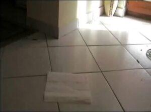 Free Scat Porn
