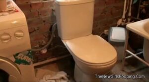 Free Scat Porn