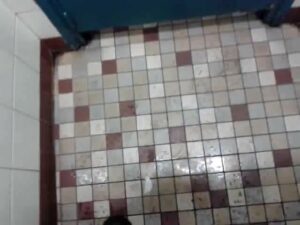Free Scat Porn
