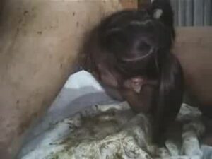 Free Scat Porn