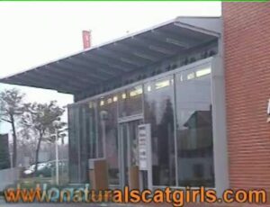Free Scat Porn