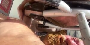 Free Scat Porn
