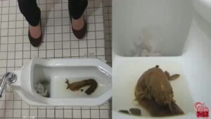 Free Scat Porn