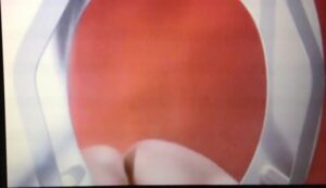 Free Scat Porn