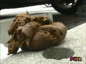 Free Scat Porn