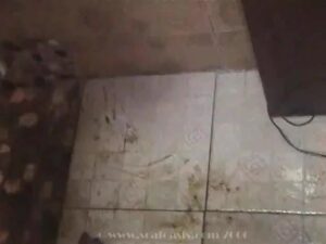 Free Scat Porn