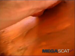 Free Scat Porn