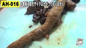 Free Scat Porn