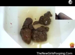 Free Scat Porn
