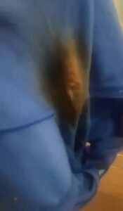 Free Scat Porn