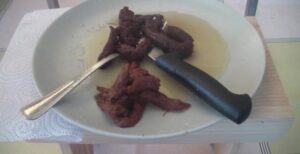 Free Scat Porn