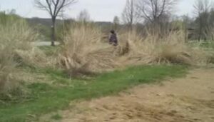 Free Scat Porn