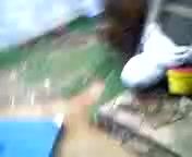 Free Scat Porn