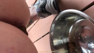 Free Scat Porn