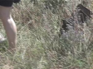 Free Scat Porn