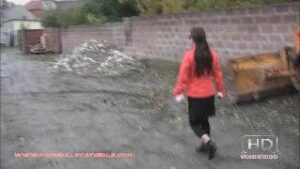 Free Scat Porn