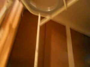 Free Scat Porn