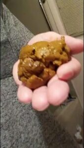 Free Scat Porn