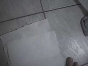 Free Scat Porn