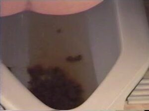 Free Scat Porn