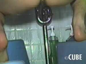 Free Scat Porn