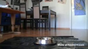 Free Scat Porn