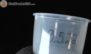 Free Scat Porn