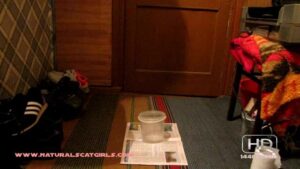 Free Scat Porn