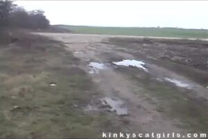 Free Scat Porn