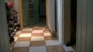 Free Scat Porn