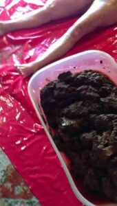 Free Scat Porn