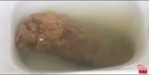 Free Scat Porn