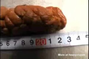 Free Scat Porn